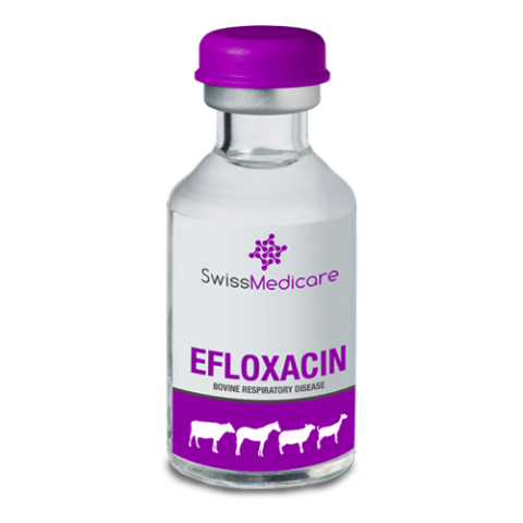 EFLOXACIN VIAL