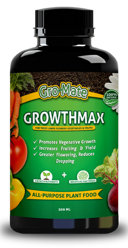 rootmax 